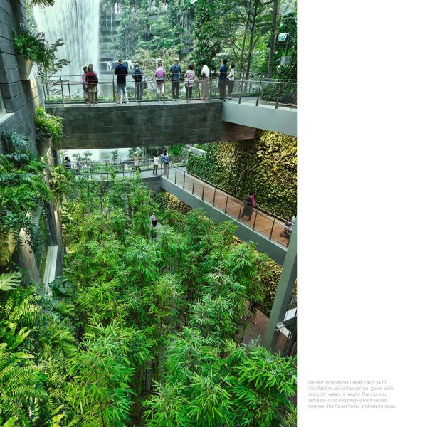 Book cover of Jewel Changi Airport, featuring the geometric glass dome of the building. Published by Images Publishing.