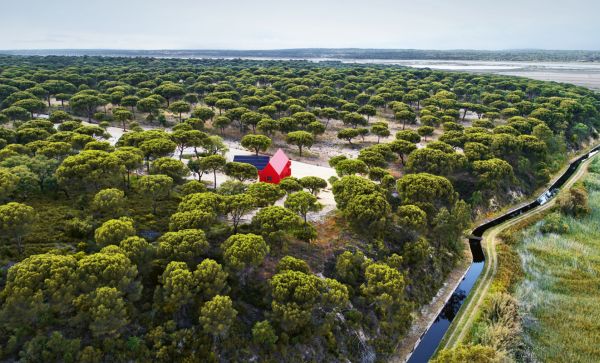 Book cover of Radical Living: Homes at the edge of architecture, with a tall, rounded edge building. Published by Images Publishing.