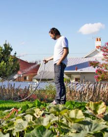 Cover of swiss chard, courgettes, apples, tomatoes, garlic, green beans, calendula, avocados, Urban Homesteads in white font