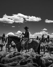 Book cover of Anouk Krantz’s Ranchland: Wagonhound, featuring a vast landscape, with horse and rider in foreground. Published by Images Publishing.