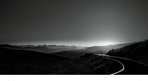 Book cover of American Cowboys, featuring three cowboys on horseback riding across grassy landscape. Published by Images Publishing.