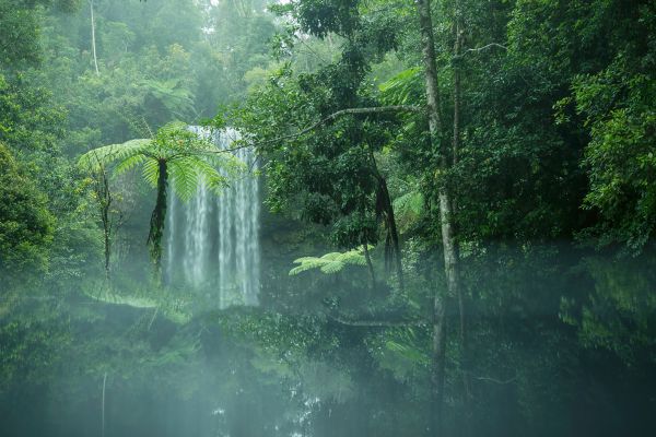 Book cover of Sightlines: Patterns + Palettes of Australian Landscapes, with the dusty, orange outback. Published by Images Publishing.