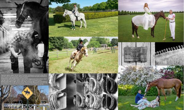 Book cover of Equestrian Life in the Hamptons, with two white horses grazing in front of house surrounded by topiary hedges. Published by Images Publishing.