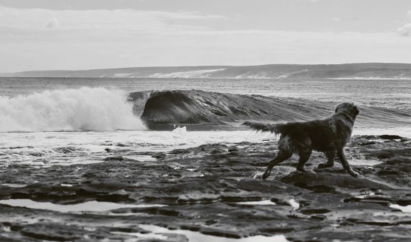 Book cover of Life Around the Sea: Capturing the Heart of Australian Surf Culture, with the waves of the sea, and land behind. Published by Images Publishing.