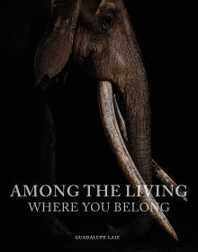 Book cover of Among the Living, Where You Belong, with a side profile of African elephant with long tusks. Published by Images Publishing.