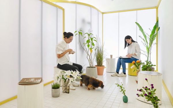 Orange book cover of Café Cool, Feel-Good Inspiring Designs, featuring a modern interior of coffee shop with exposed light bulbs above, and customers ordering below. Published by White Star.