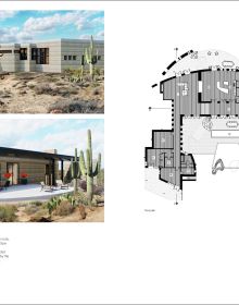 Biophilic Visions
