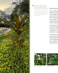 Book cover of Resilient Horizons: The Future of Landscape Architecture; featuring a garden with exotics trees and plants. Published by Images Publishing.