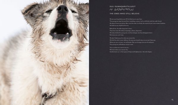 Echoes of the Pack